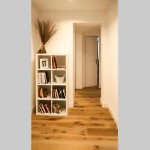 Casa Marte , Roma Italia